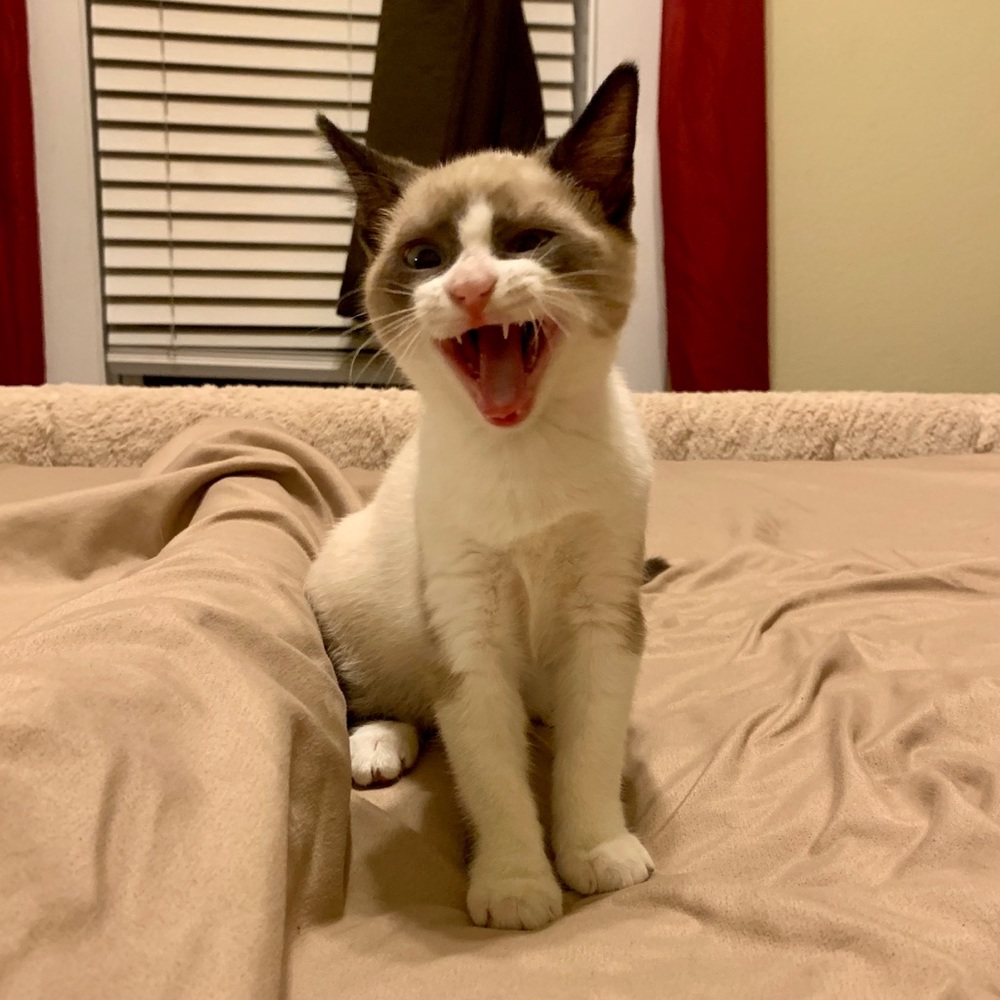 Meet your Posher, Karen